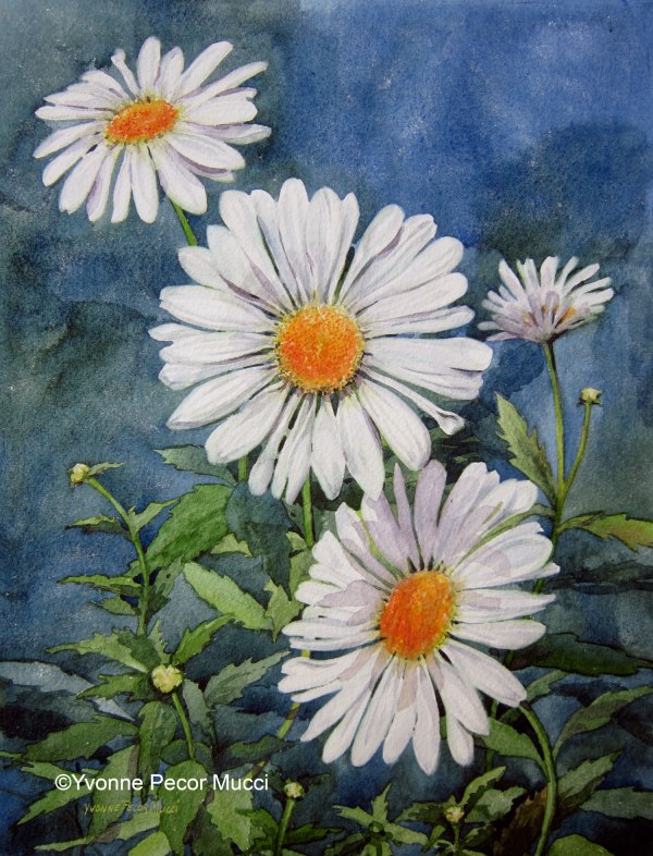 Loves me, Loves me not Watercolor (Framed 15 x 18) By Yvonne Pecor Mucci