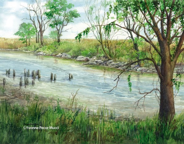 Fenwick Creek Watercolor by Yvonne Pecor Mucci