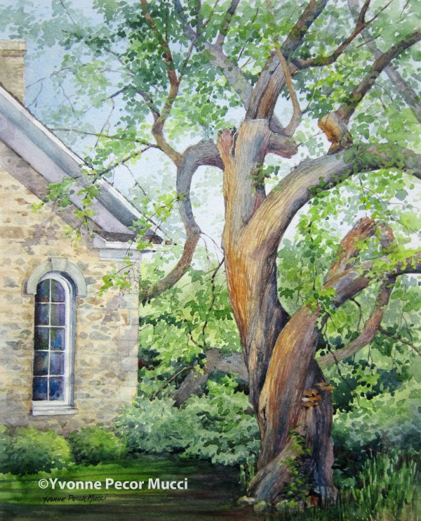 twisted_mucci_watercolor