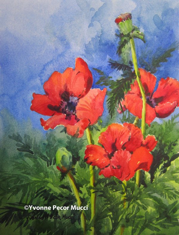 red_pops_mucci_watercolor