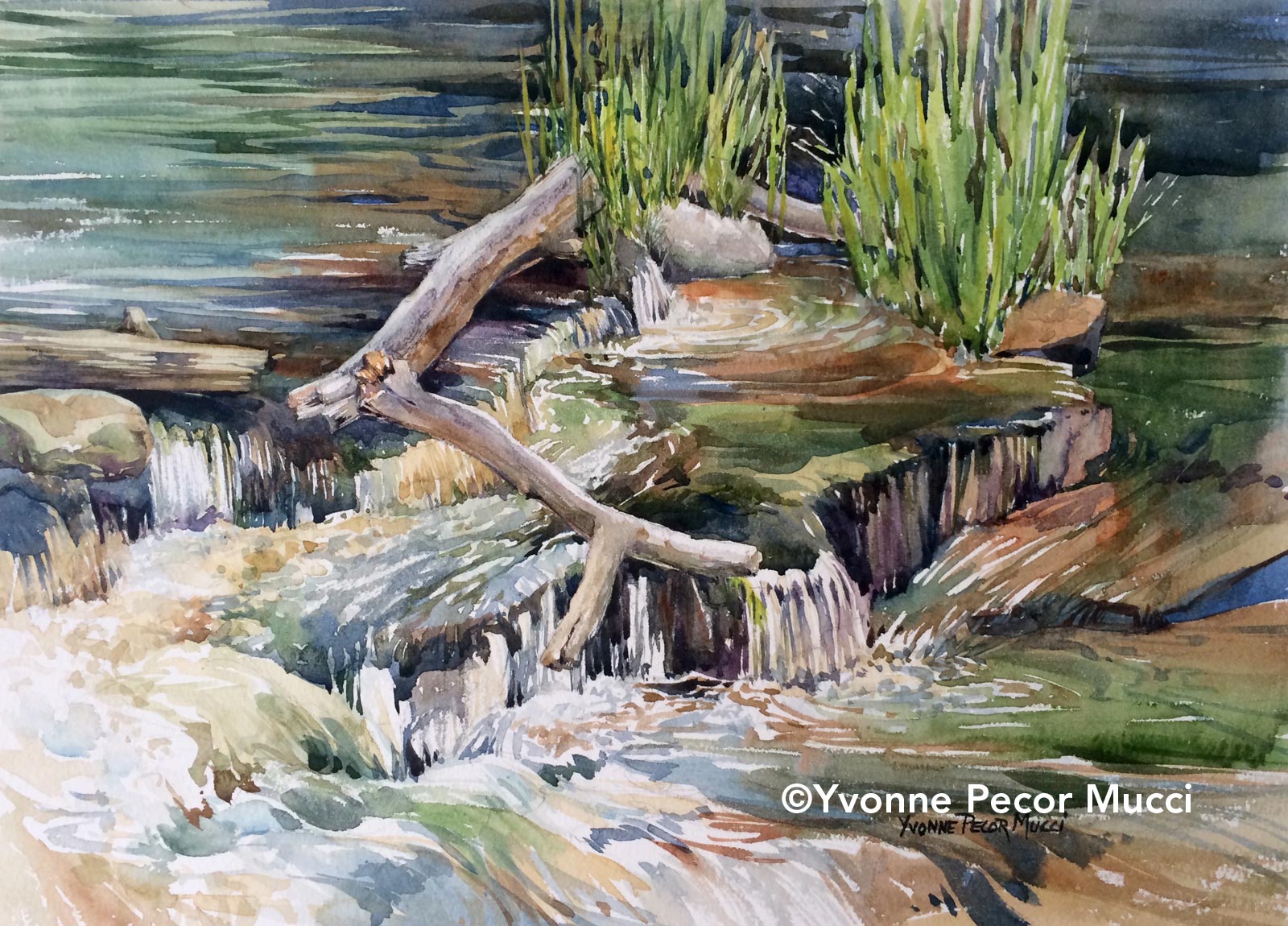 alongsilvercreek_mucci