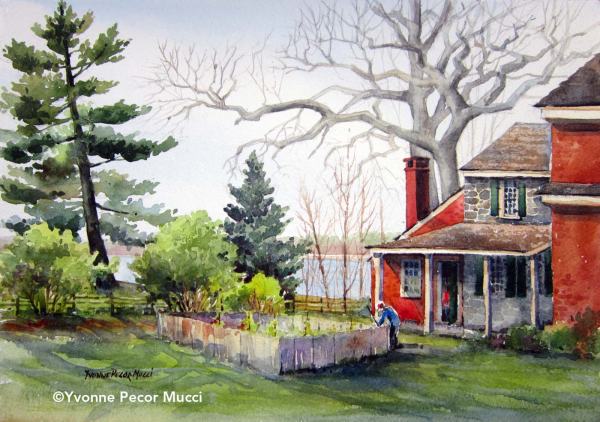 gardeningatredbank_mucci